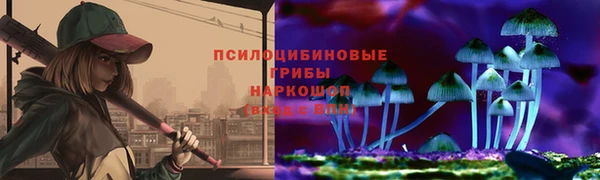 apvp Алексин