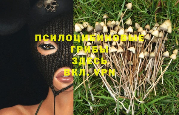 индика Алексеевка