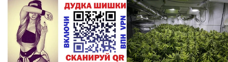 Конопля семена  Фролово 
